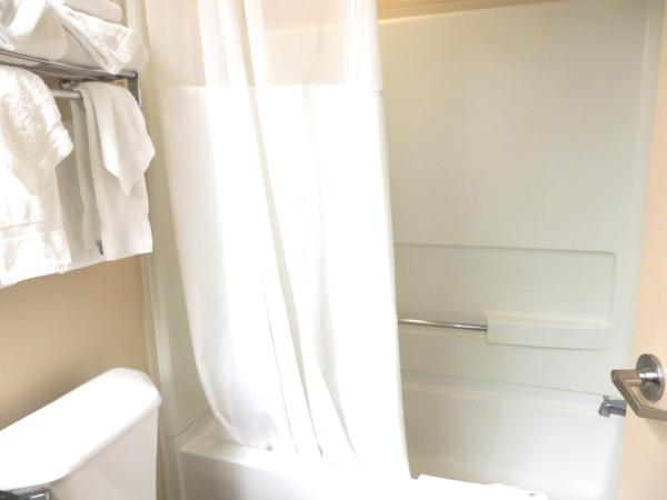 Queen Suite with Two Queen Beds and Sofa Bed - Pool View